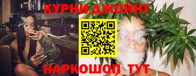 крисы Обь