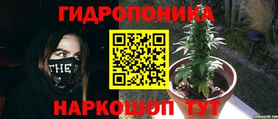 молекула духа Нягань