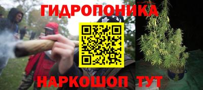 молекула духа Нягань
