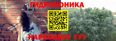 крисы Обь
